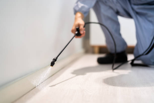 Licensed Termite Control service in Brown County County, SD - Nex Pest Control