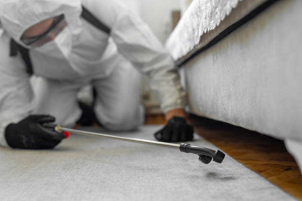 Professional Termite Control technician working in Brown County County, SD